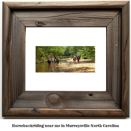 horseback riding near me in Murraysville, North Carolina